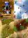 Counter Sheep v1.25